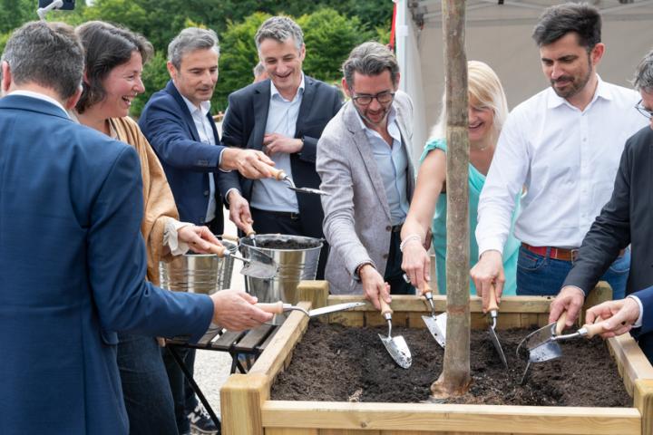 plantation arbre Champniers